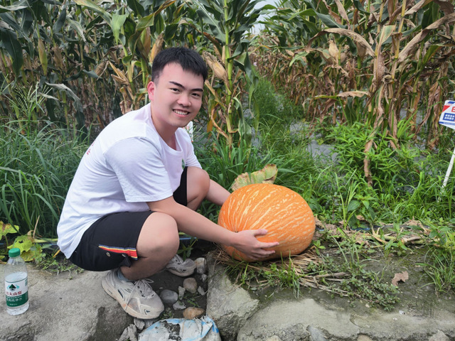 bv伟德国际体育官方网站